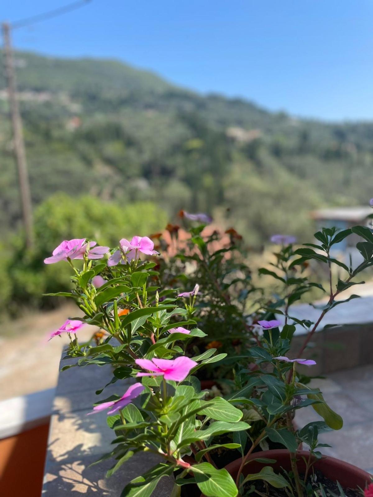 Bados House Daire Kato Garouna Dış mekan fotoğraf